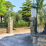 Skopelos Evergreen