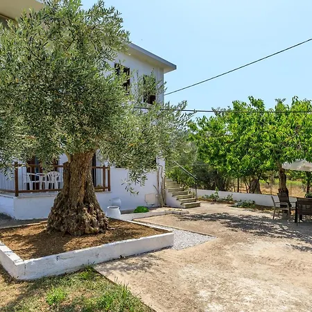 Skopelos Evergreen