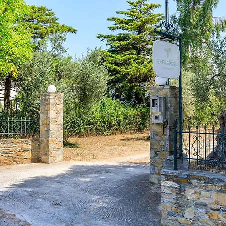 Skopelos Evergreen