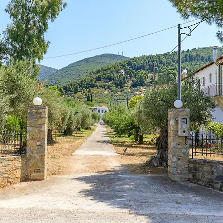 Apartmán Skopelos Evergreen