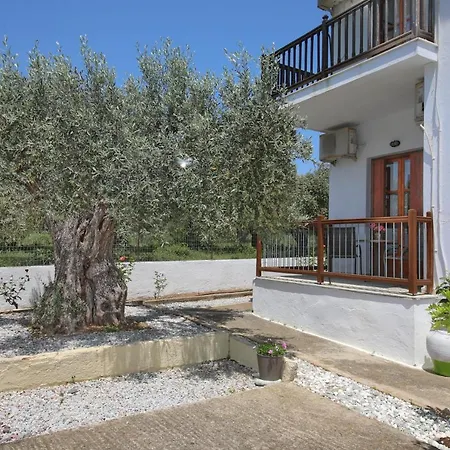 Skopelos Evergreen * Stafylos