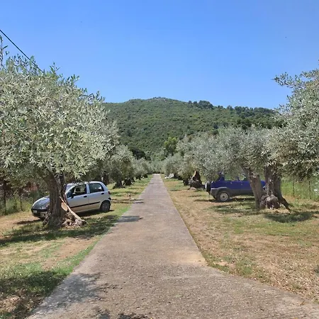 Skopelos Evergreen Apartmán