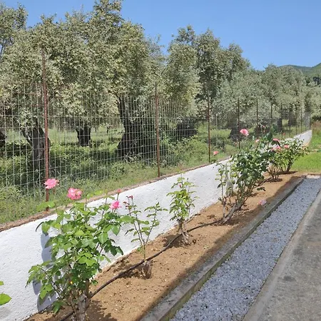 Skopelos Evergreen شقة ستافيلوس