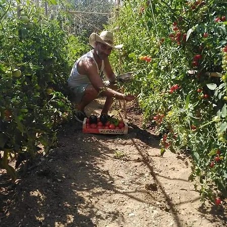 شقة Skopelos Evergreen ستافيلوس