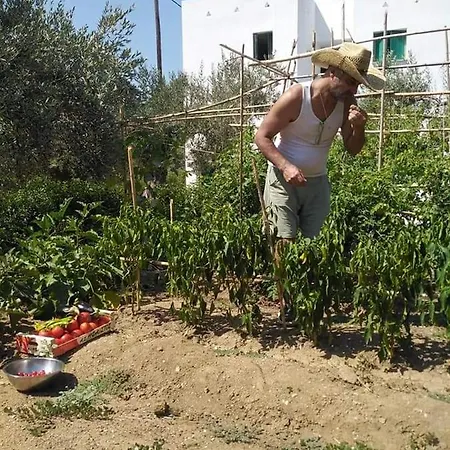 شقة Skopelos Evergreen ستافيلوس