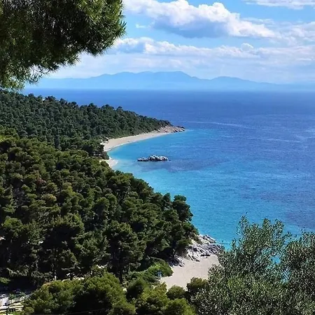 Skopelos Evergreen Stafylos