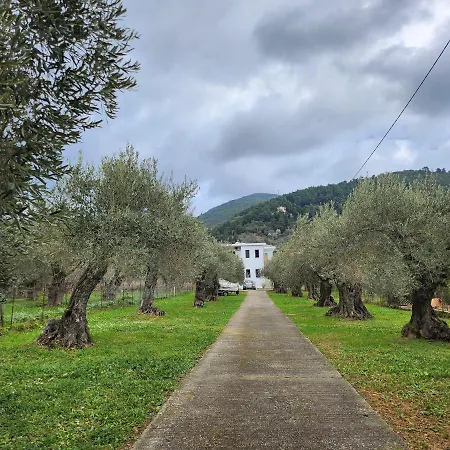 Skopelos Evergreen شقة ستافيلوس