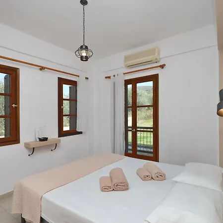 Skopelos Evergreen ستافيلوس