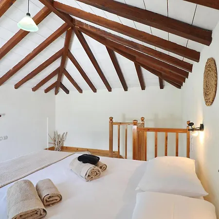 Skopelos Evergreen ستافيلوس