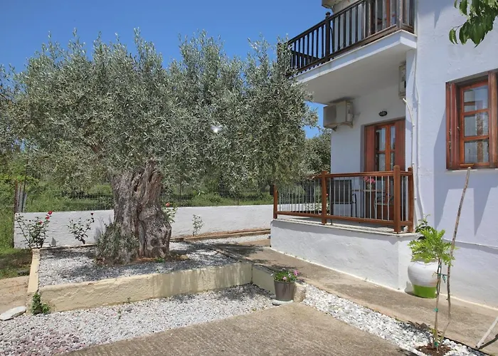 Skopelos Evergreen * Stafylos